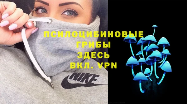 стафф Сафоново